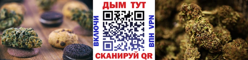 наркота  Щигры  Cannafood марихуана 