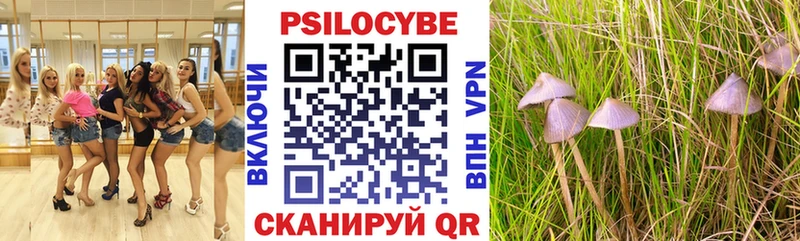 цена Щигры Галлюциногенные грибы прущие грибы